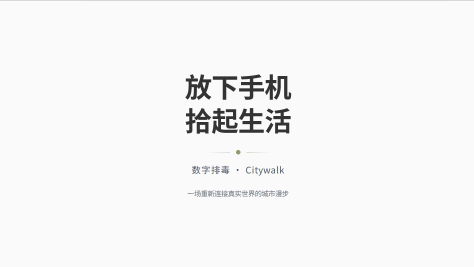 数字排毒策划案